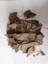 Natural Herb: 淫羊霍 / 仙灵脾, Herba Epimedii, Yin Yang Huo / Xian Ling Pi 