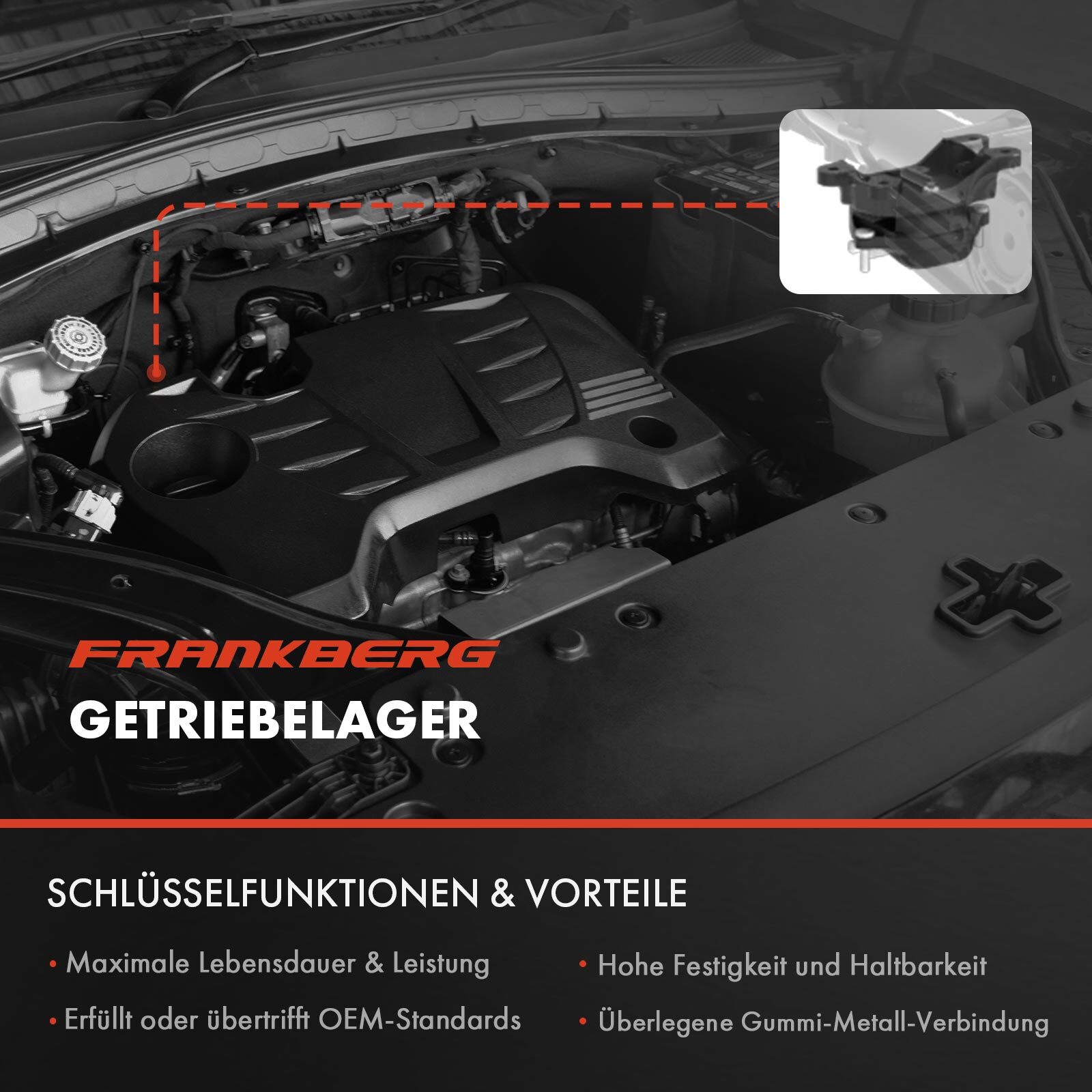 Bild 3 von 10