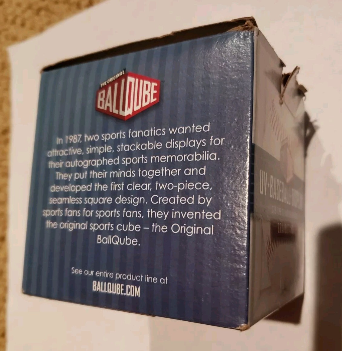 Supporto A 5 Raggi Con Ruote, Daylight 53070 | Tombolo E Disegni