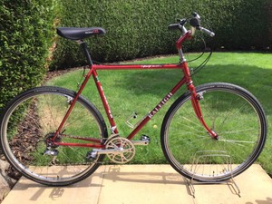 raleigh reynolds 531