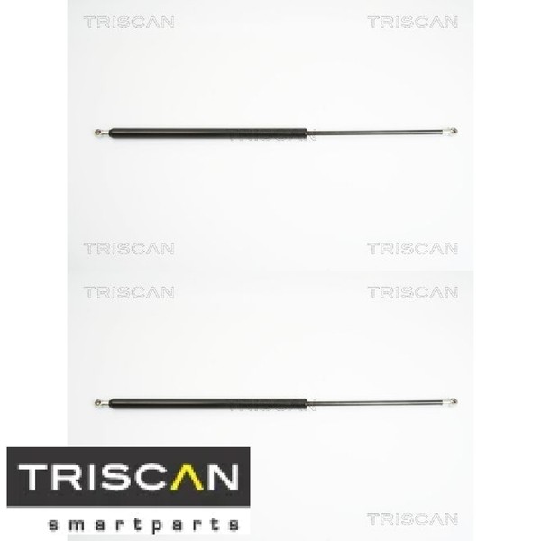 2X Gasfeder FüR Koffer-/Laderaum Triscan 871024232 DäMpfer GasdäMpfer-image
