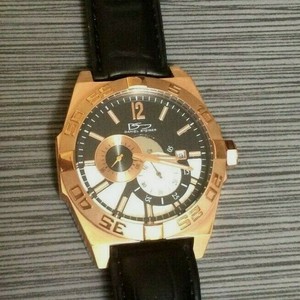 daniel steiger watches