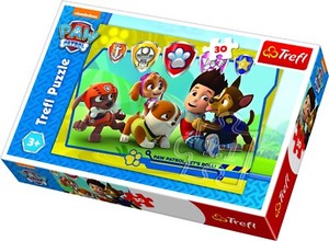 paw patrol floor puzzle