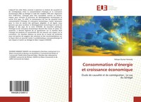 Ndiaye Oumar Hamady | Consommation D'éNergie Et Croissance éConomique | Buch