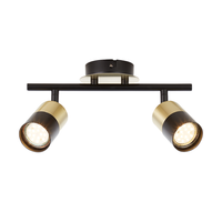 Brilliant Lampe Maribel Spotrohr 2Flg Messing GebüRstet/Schwarz | 2X PAR51, GU10