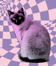 Siamese Cat Purple Sticker Labels 6 Card Gift Craft Journal Scrapbook