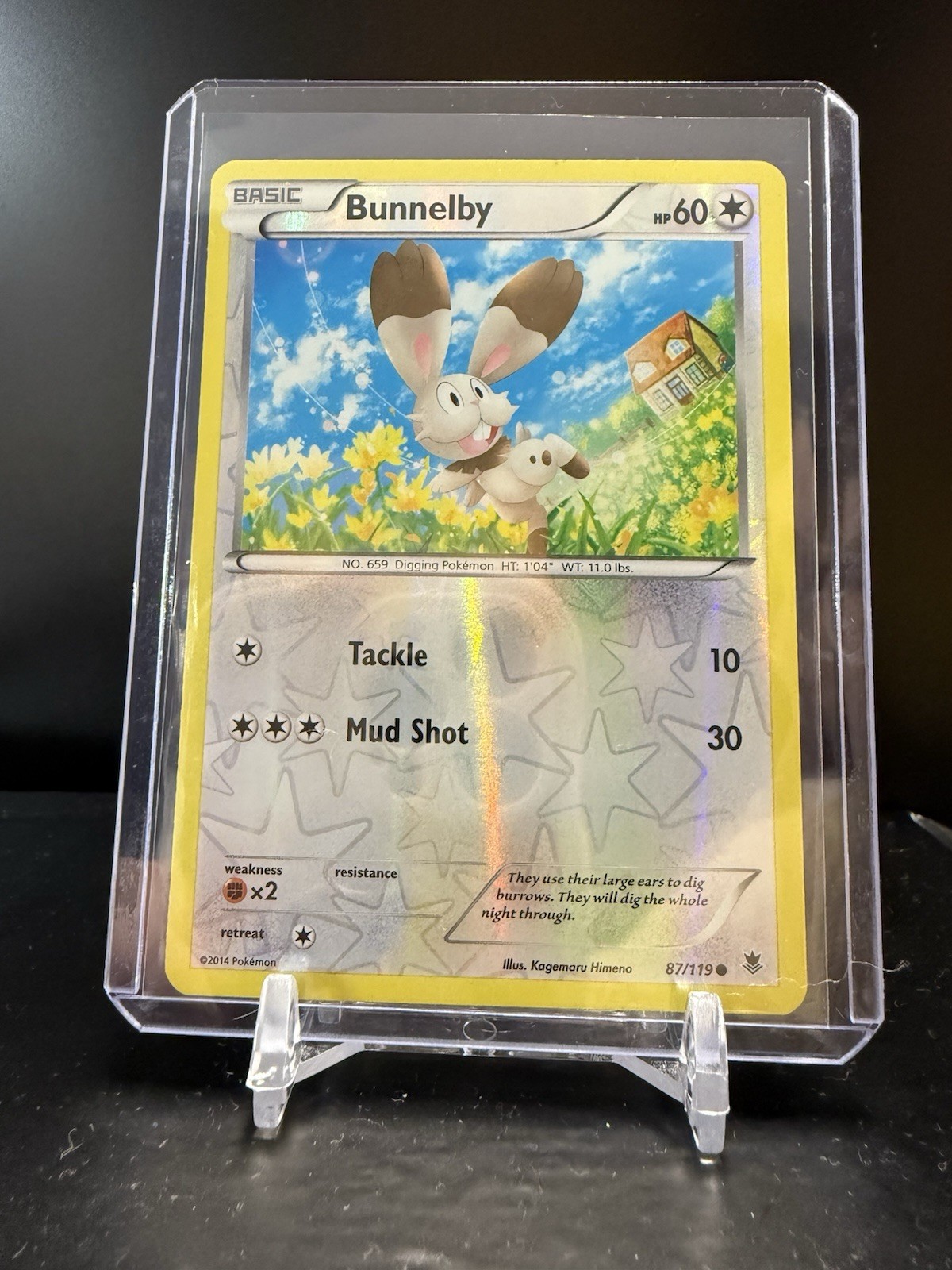 923022 - Bunnelby 87/119 XY Phantom Forces Pokemon Reverse Holo Foil Rare NM