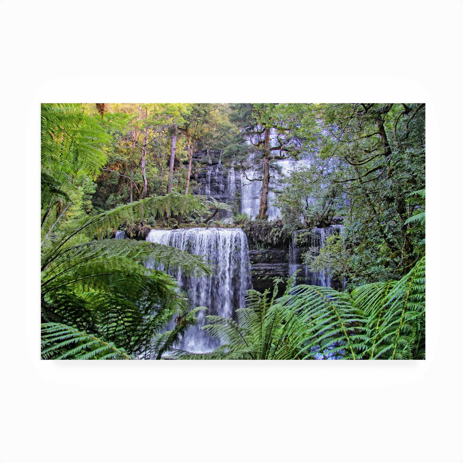 Outdoor Canvas Art - Beata Czyzowska Young 'Treasure' Wall Art for Outdoor Sp...