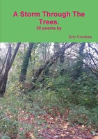 Eric Crookes | A Storm Through The Trees | Taschenbuch | Englisch (2017)