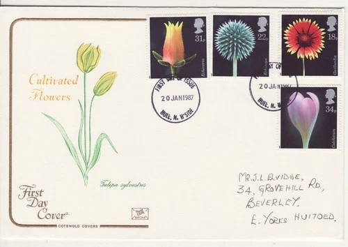 GB Stamps First Day Cover Flower Photographs, Thistle Crocus petal COTSWOLD 1987