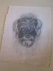 Original-DOG-Pencil-Drawing-Signed-Louise-J