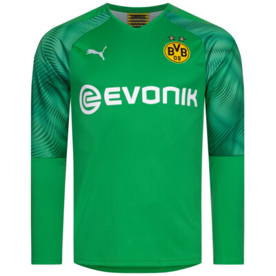 BVB Borussia Dortmund 110th Anniversary green GK Jersey 2019