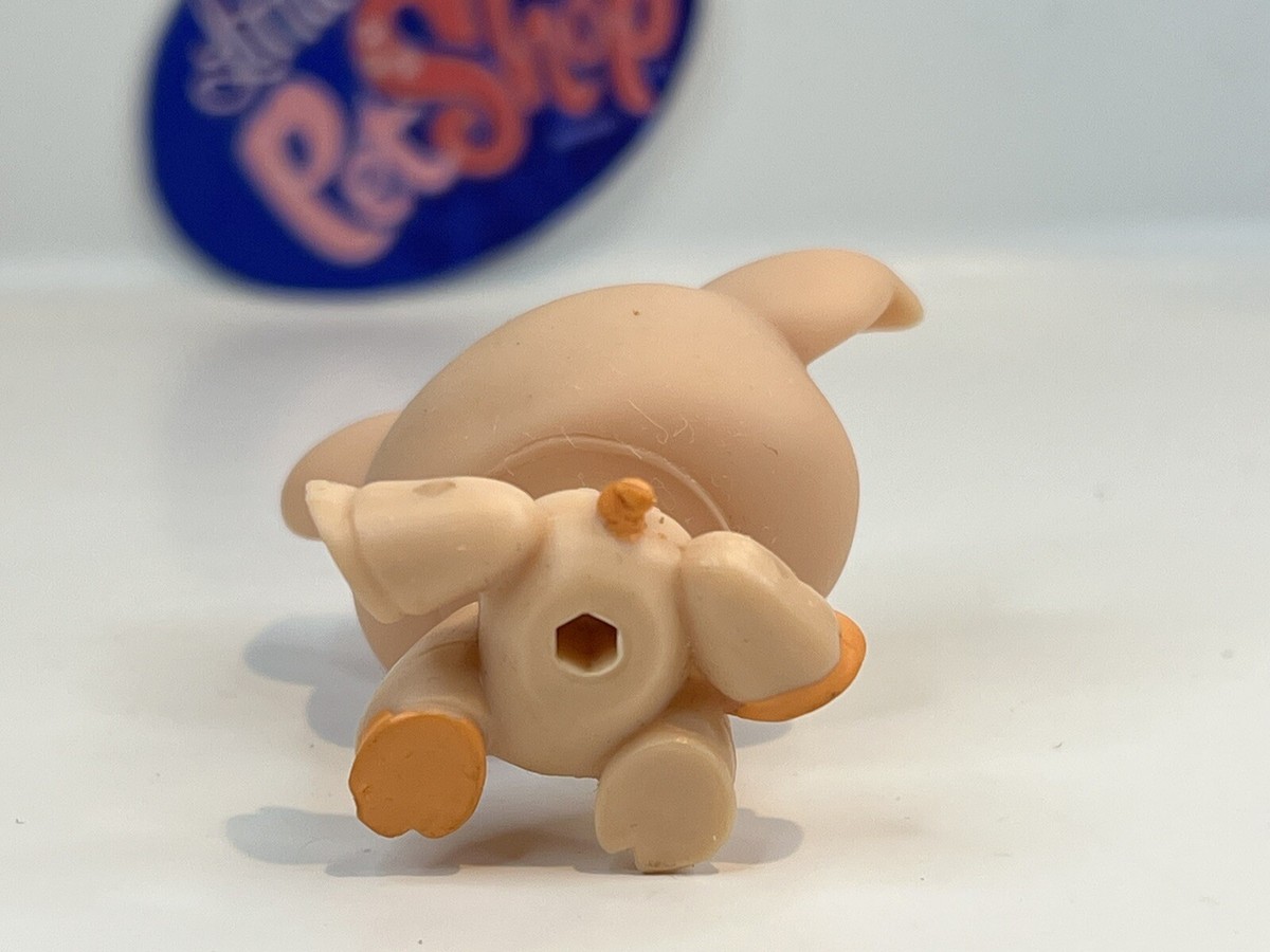 LPS little pet shop バーチャルペット pig HASBRO Amazon.com: Hasbro