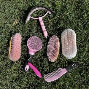 Pink Horse Grooming Set