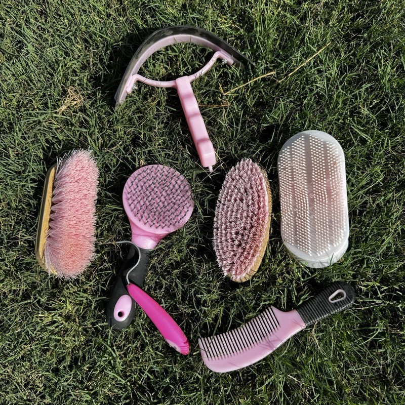 Pink Horse Grooming Set