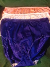Lot Of 3 Size 13 vintage fruit of the loom 100 nylon panties "Fit For Me"