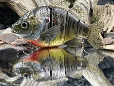 5 inch 2.1oz 30 acre style swimbait glidebait bass musky “B-1 Bluegill Bomber”