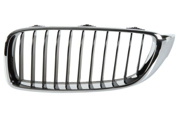 Left BLIC 6502-07-0070991P Radiator Grille for BMW