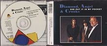 She Put it in My Pocket (3 Tracks, 1991/92) | CD | Zustand sehr gut