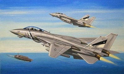 Hobbyboss 80278 - 1:72 F-14D Super Tomcat- Neu
