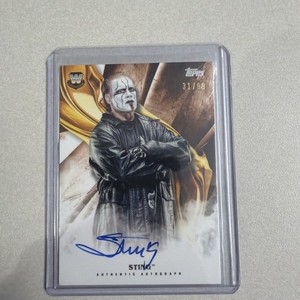 Sting Wrestler Autograph | eBay