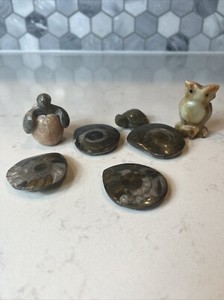 Various Lot Of Orthoceras / Ammonite Fossils And Mineral Animal Figurines