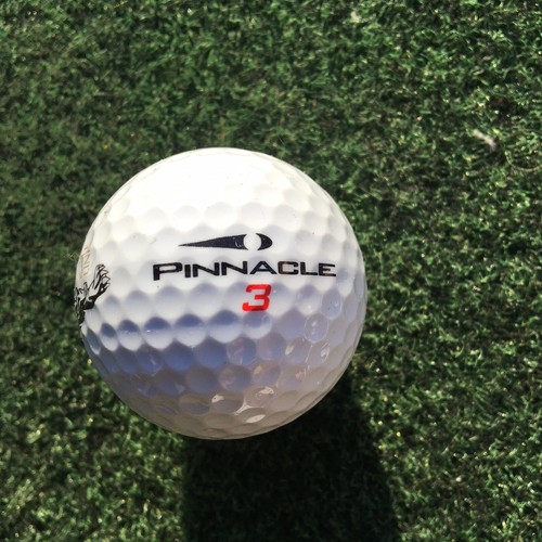 Panthers Run Golf Links (Sunset Beach, NC) Logo Golf Ball - Picture 2 of 3