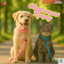 Small Dog Cat Pet 13" Collar 48" Leash Adjustable Training Set With Paws Bell