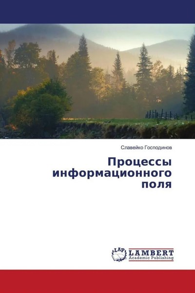 Slawejko Gospodinow | Processy Informacionnogo Polq | Taschenbuch | Russisch-image