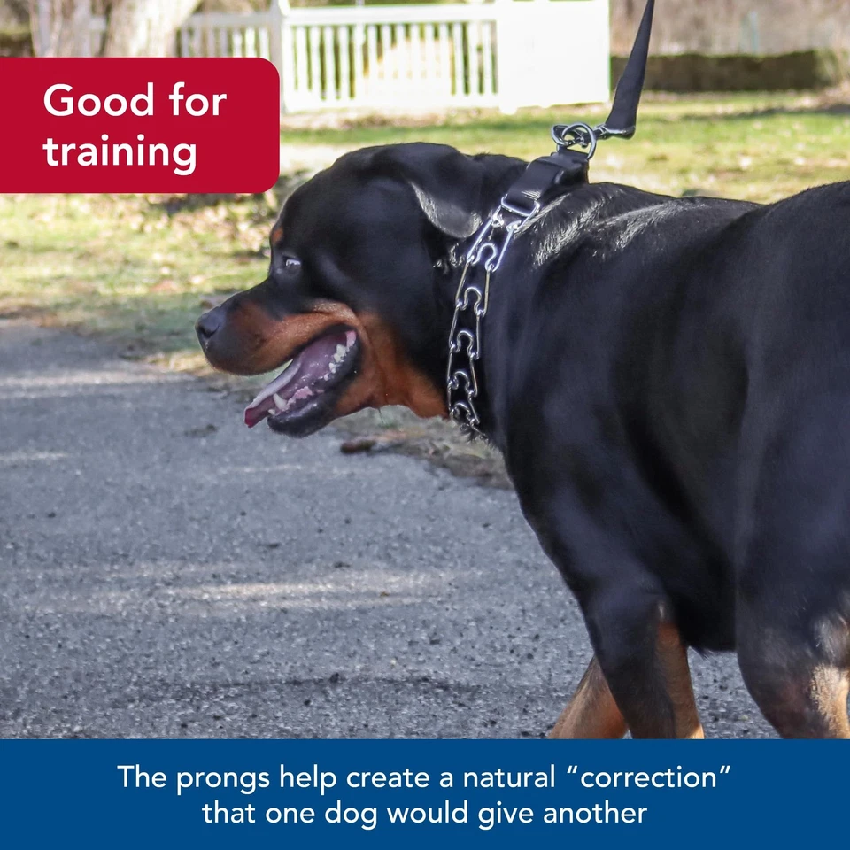 Coastal Pet Titan Collar de Entrenamiento de Puntas de Perro Fácil de Montar Collar de Metal Duradero con Si Foto 3 de 4