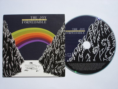 THE JOY FORMIDABLE - I DON'T WANT TO SEE YOU LIKE THIS