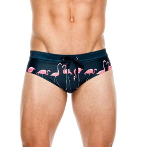 speedo style trunks