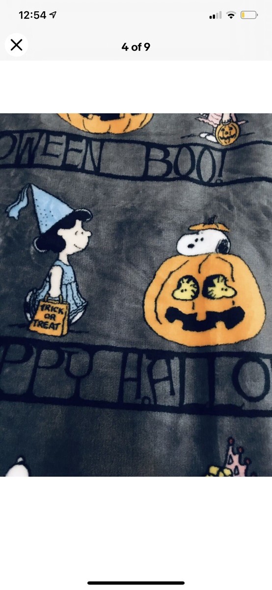 Couverture D’Halloween Snoopy & Woodstock – Berkshire – Rose – Polaire – Pour Toute La Famille