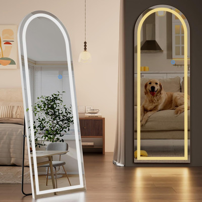 LED Arched Full Length Mirror, 65''X24'' Full Length Mirror with Lights, Lighted F