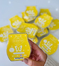 Coconut lemongrass scentsy wax bar x 6 bars