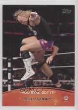 2015 Topps WWE Crowd Chants You Still Got It! Billy Gunn #9 fm0