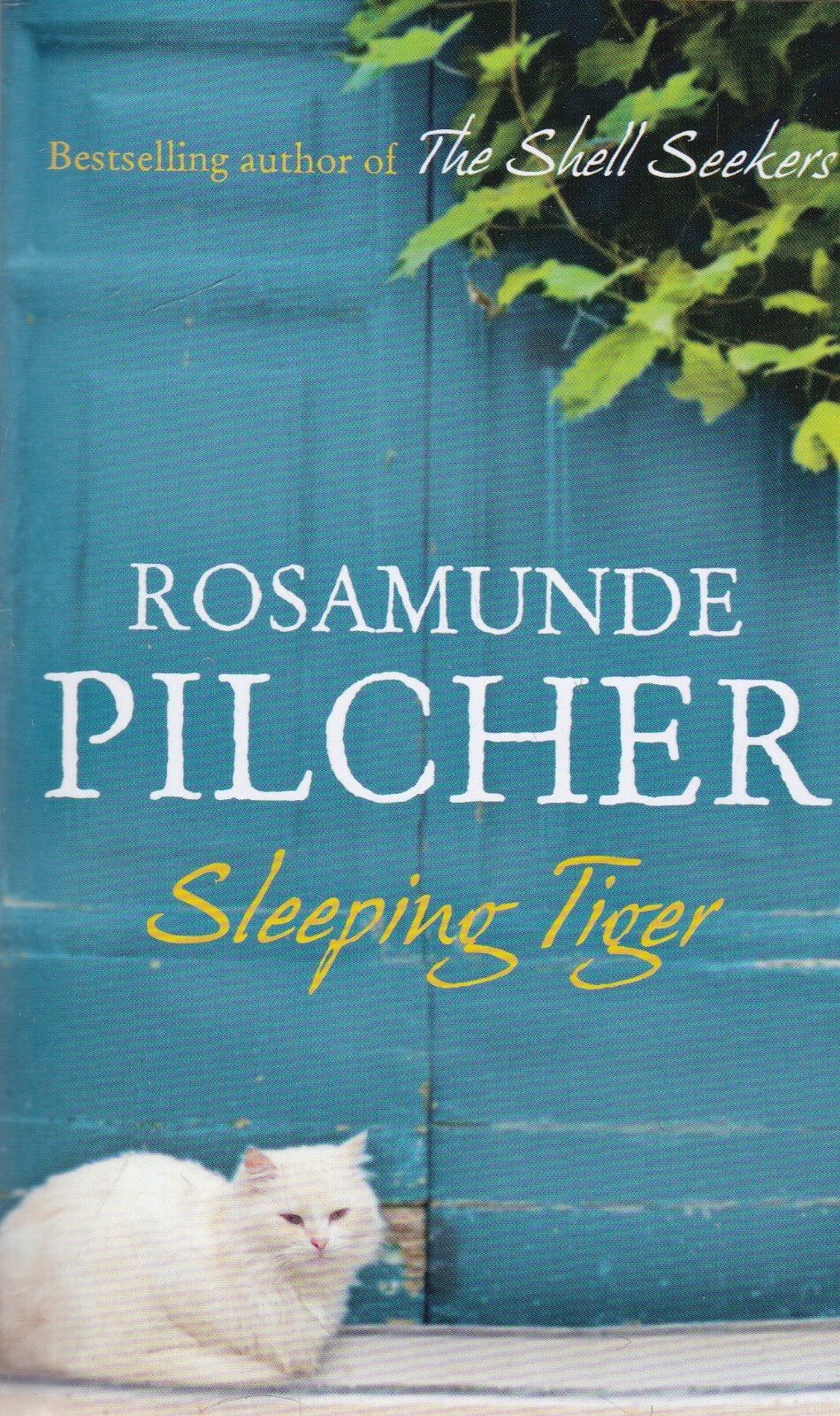 Sleeping Tiger by Rosamunde Pilcher Paperback Book