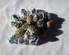 Owl pellets Small-Size 1", Lot of 20