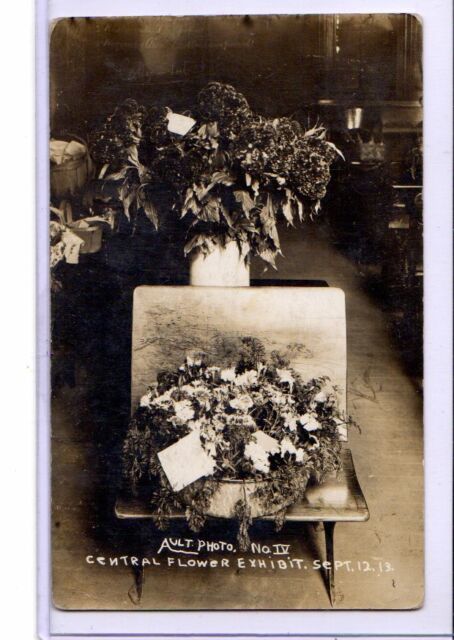 Real Photo Postcard RPPC - Central Flower Exhibit Ault Studio South Bend Indiana