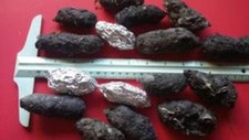 Large Barn Owl Pellets 2 inches  up