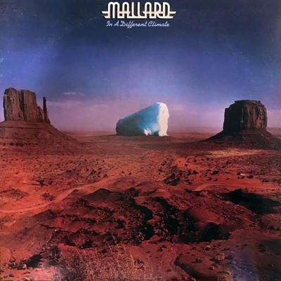Mallard    In A Different Climate - US Original 1977 Vinyl 12'' 33T LP - Indie NM