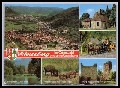 Ansichtskarte Schneeberg im Odenwald und seine Umgebung