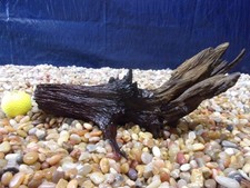 Small Driftwood 07"x12"x06" Aquarium Terrarium Reptile Natural Art