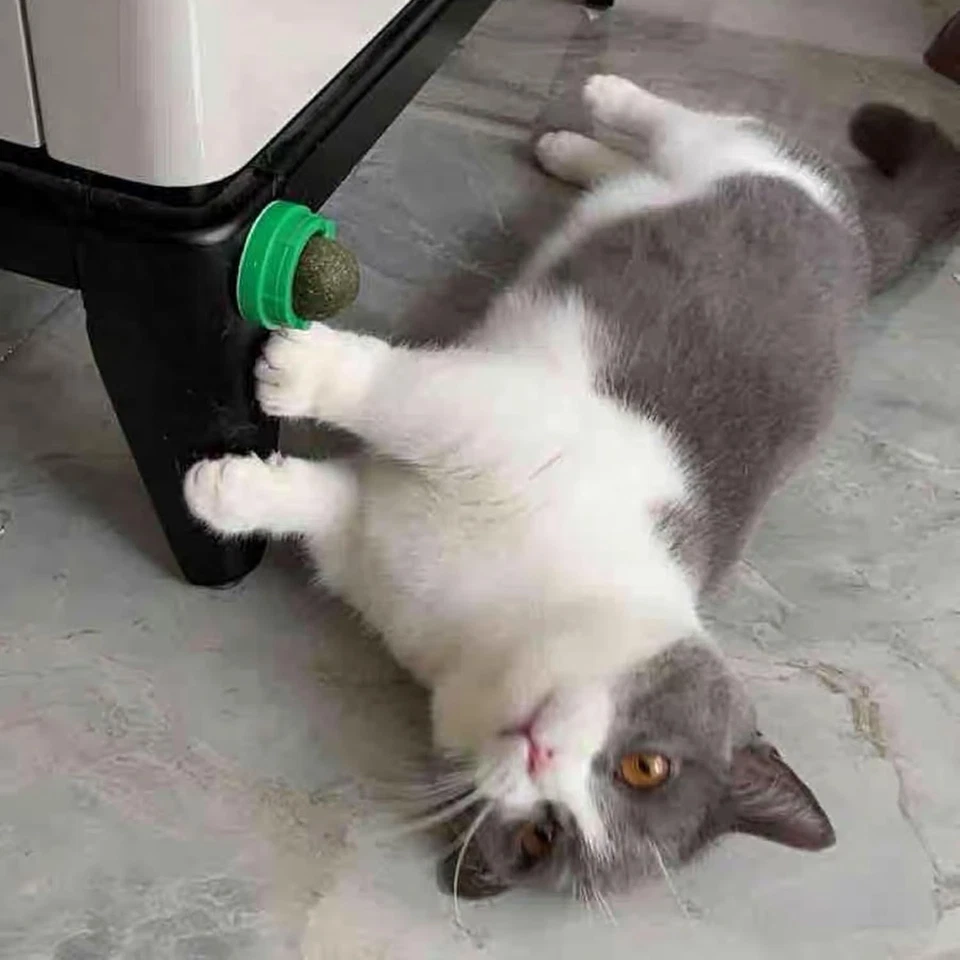 4PCS Catnip Balls for Cats Wall Catnip Toys for Cat Lick Kitten Chew Toys Teeth - Image 4 of 4