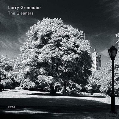 Larry Grenadier - The Gleaners [CD]