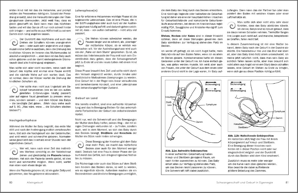 Thumbnail - Alleingeburt - Schwangerschaft Und Geburt In Eigenregie Sarah Schmid