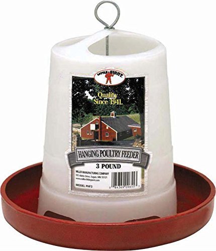 Little Giant 20 Quart Mountable Plastic Feeder Bucket For Fence - Heavy Duty For Livestock & Pets