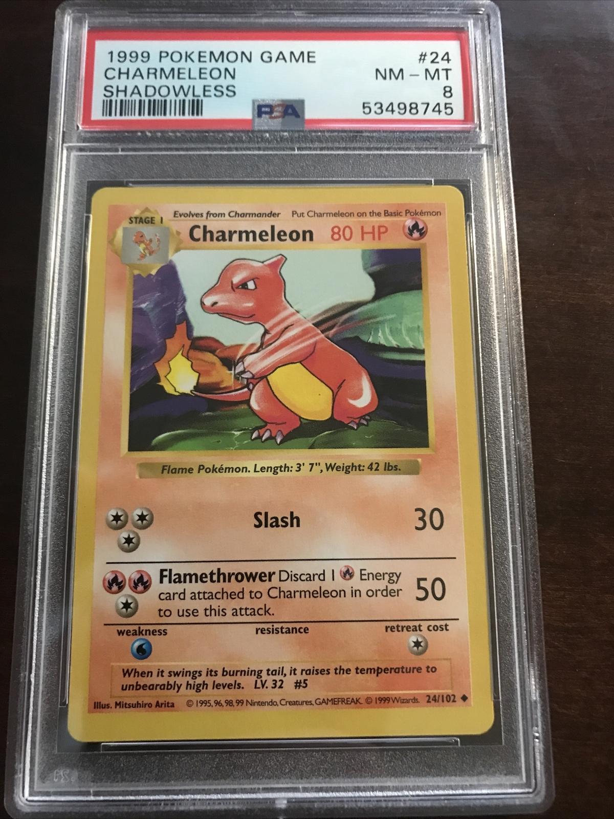 1999 pokemon charmeleon shadowless psa 8 mint 24/102
