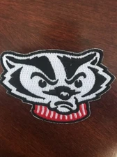 Wisconsin Badgers Vintage Embroidered Iron on Patch  (Old Stock) 3"  X 2"