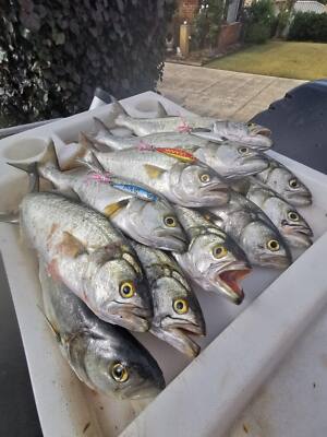 Metal Spinner Lure Casting Slug Twisty Slice Mackerel Tailor bait